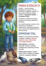 Голуби, кормление и безопасность. Передвижка