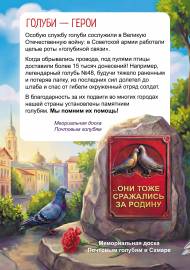 Голуби - герои. Передвижка
