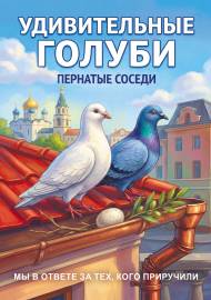 Удивительные голуби. Передвижка о пернатых соседях