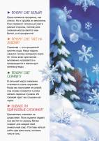 Интересные факты о снежинках для детей