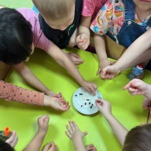 Конспект занятия «Мы сажаем огород»