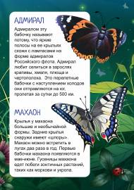 Набор для раскрашивания мозаики Бабочка Махаон