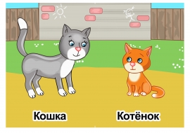 Раскраски Кошки