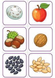 Игра мемори «Белкины запасы»