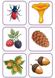 Карточки для мемори «Что ест белка»