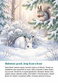 Заяц-беляк и белка зимой