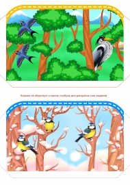 Лэпбук “Перелетные и зимующие птицы России”