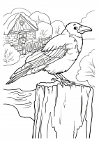 Раскраска Первые уроки Зимующие птицы