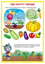 Набор открыток «Овощи на вашем столе».