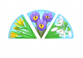 Карточки Домана на тему «Цветы»