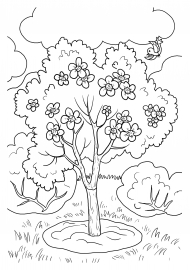 «Дерево яблоня с яблоками» бесплатная раскраска для детей - мальчиков и девочек