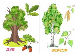 Высокая берёза — раскраска для детей. Распечатать бесплатно.