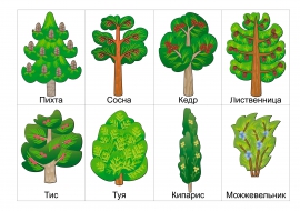 Раскраски деревья (+ раскрасок дерево)