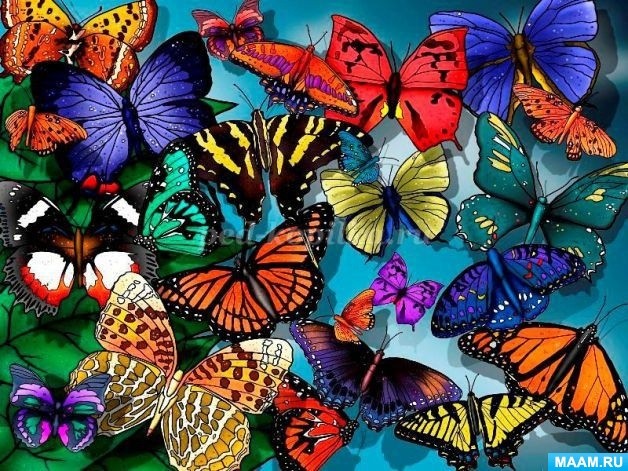 Живые тропические бабочки - салют, букет, открытка, упаковка, поздравление