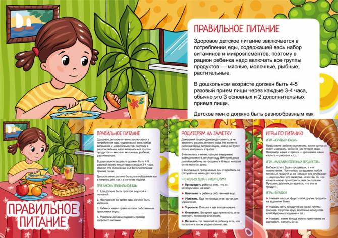 Питание для детей в детском саду: нормы, требования, организация