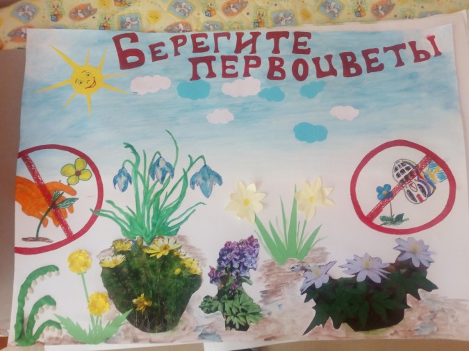 MAAM.ru: «Сбережём первоцветы!» Фотоотчёт выставки рисунков в группе «Солнышко»