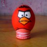   &quot;Angry Birds&quot;