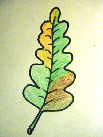 Схемы рисования листьев, веток и деревьев (берёза, ель, дуб, клён)