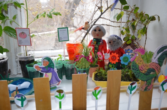 Огород в доу отчет. Огород на окне в детском саду. Фотовыставка огород на окне.