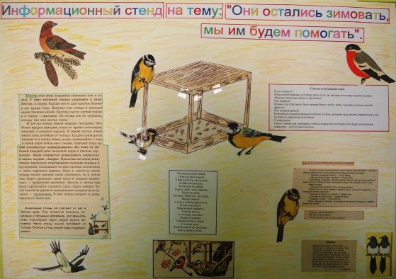 Проект птицы нашего края в старшей группе детском саду
