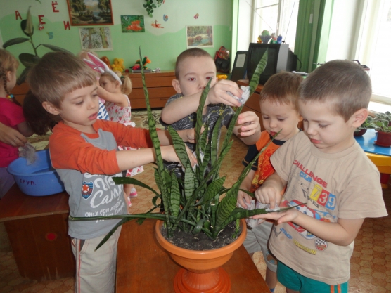 Ознакомление с природой в старшей группе. Ознакомление детей с природой. Ознакомление детей дошкольного возраста с природой. Ознакомление с природой в детском саду. Экологическое воспитание в средней группе.