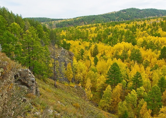 Картинки забайкалье моя родина