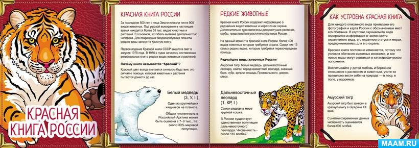 Рисунки редкие животные из красной книги рисунки (38 фото)