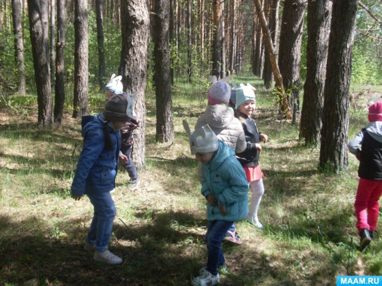 Школьники на экскурсии в лесу