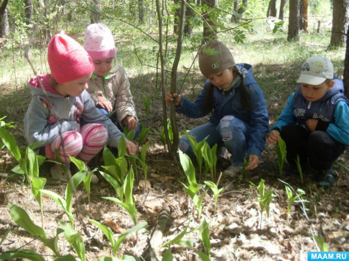 Ознакомление с природой в детском саду