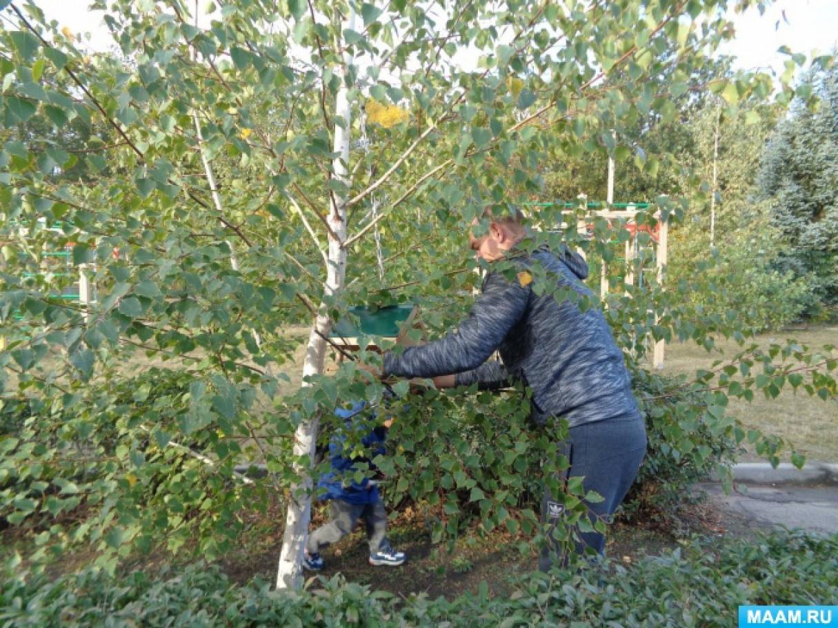 Консультация для родителей «Сделайте кормушку для птиц своими руками» (2  фото). Воспитателям детских садов, школьным учителям и педагогам - Маам.ру