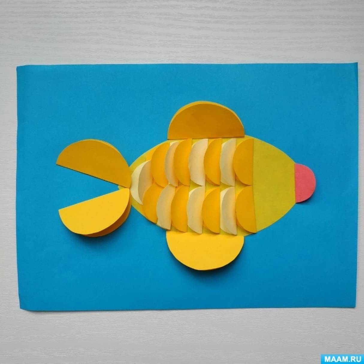 Обложка набора цветной бумаги «Тропики-Рыбы» А4 за 5 €