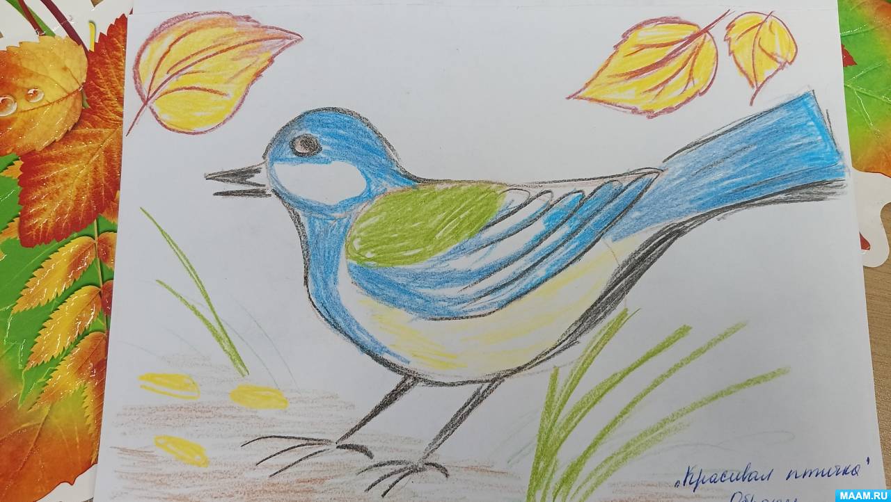 Рисунки птицы 2 класс
