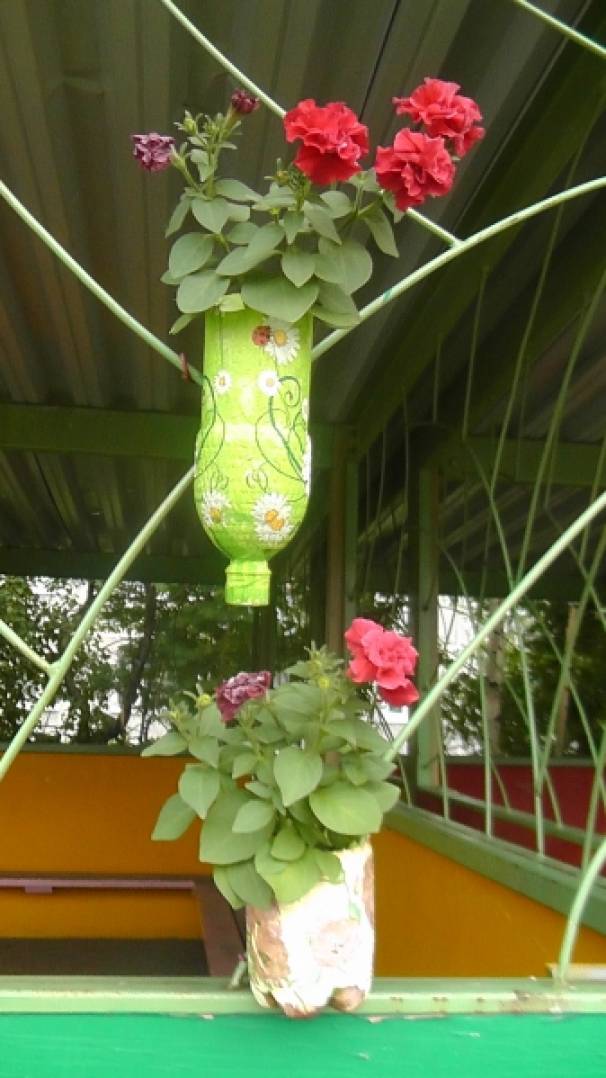 ТОП-5 растений для балкона и террасы от Марины Дудкиной