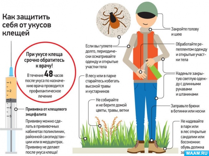 Осторожно клещи памятка для родителей картинки