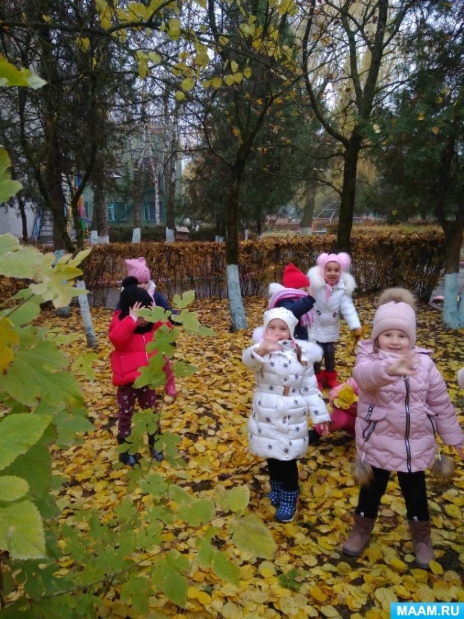 Конспект прогулки в старшей группе «Наблюдение за изменениями цвета листьев  на деревьях осенью» (3 фото). Воспитателям детских садов, школьным учителям  и педагогам - Маам.ру