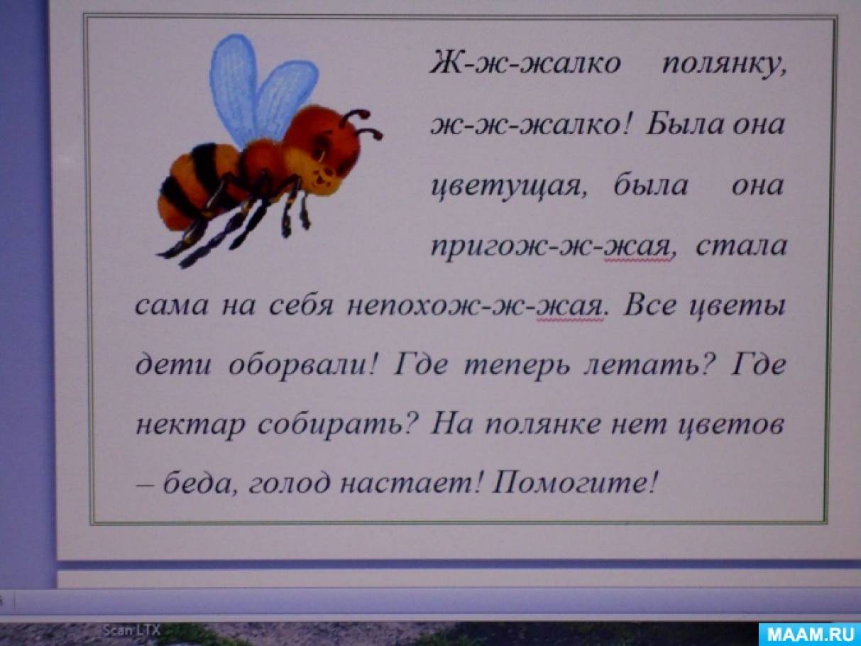 По страницам «Жалобной книги природы». Жалоба от пчелки (1 фото).  Воспитателям детских садов, школьным учителям и педагогам - Маам.ру