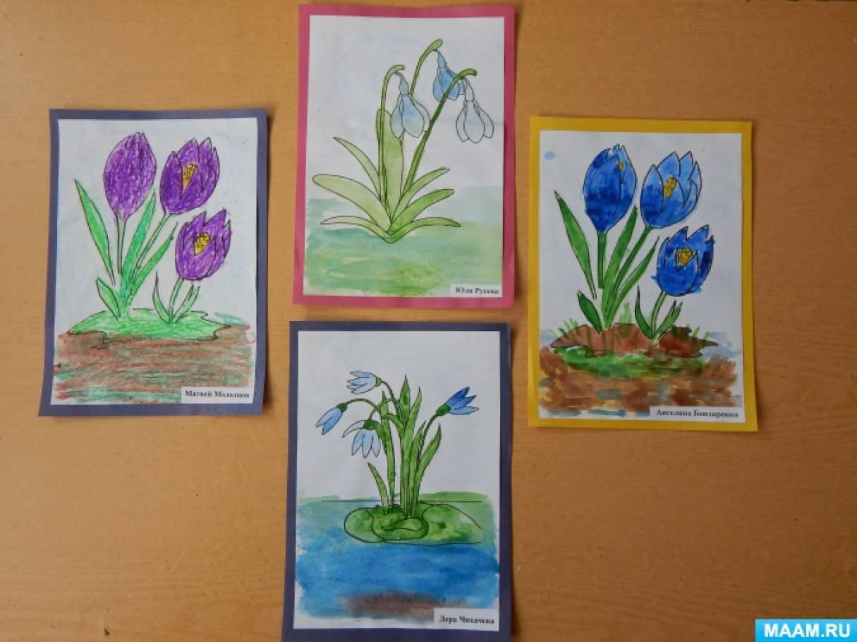 Рисование весенние цветы старшая группа. Рисование первоцветы в детском саду. Рисование первые цветы. Рисование весенние цветы в подготовительной группе. Рисование первоцветы старшая группа.