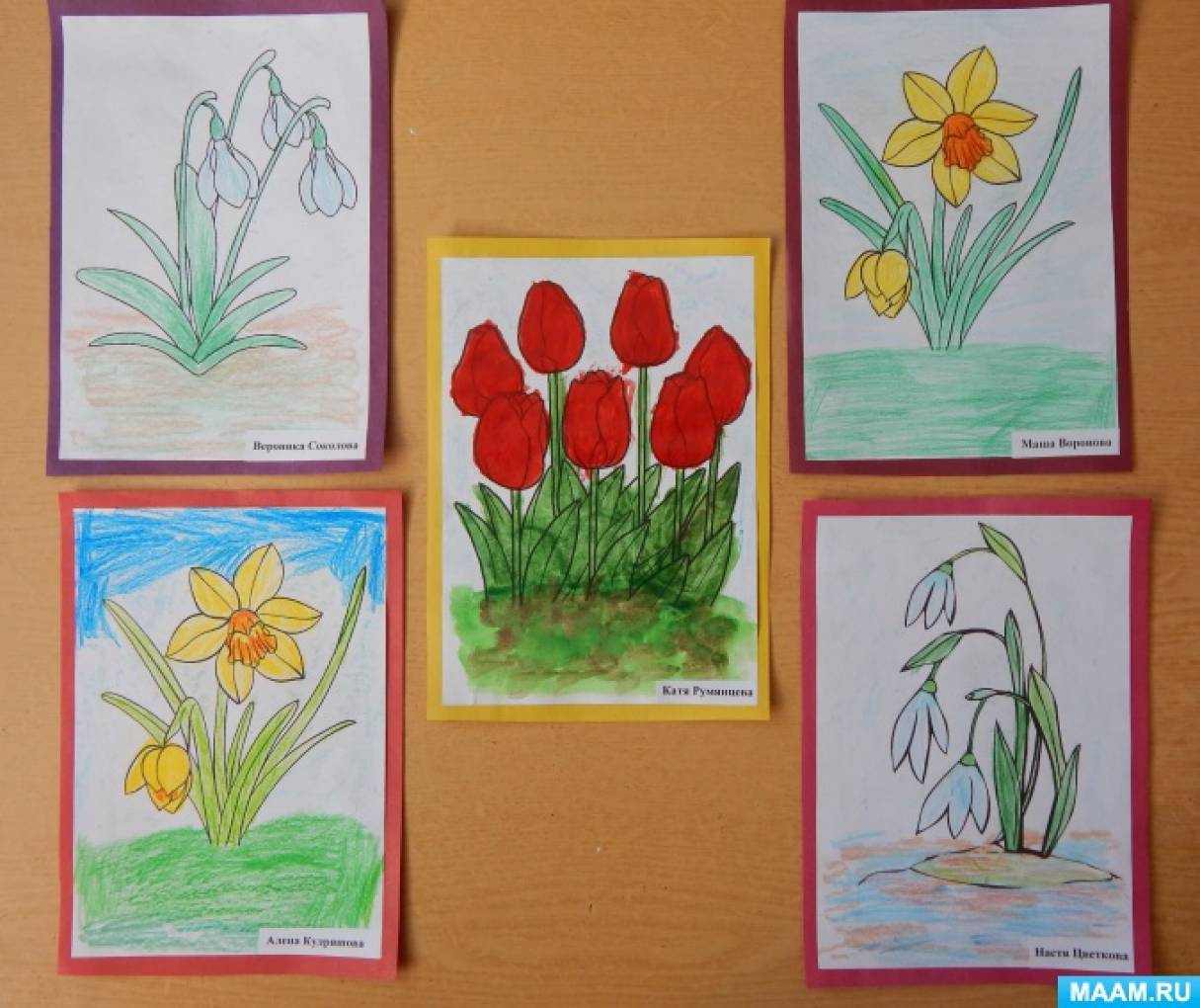 Растения первоцветы 2 класс. Рисование первоцветы старшая группа. Рисование весенних цветов в старшей группе. Рисование в подг гр весенние цветы. Рисование первоцветы в подготовительной группе.