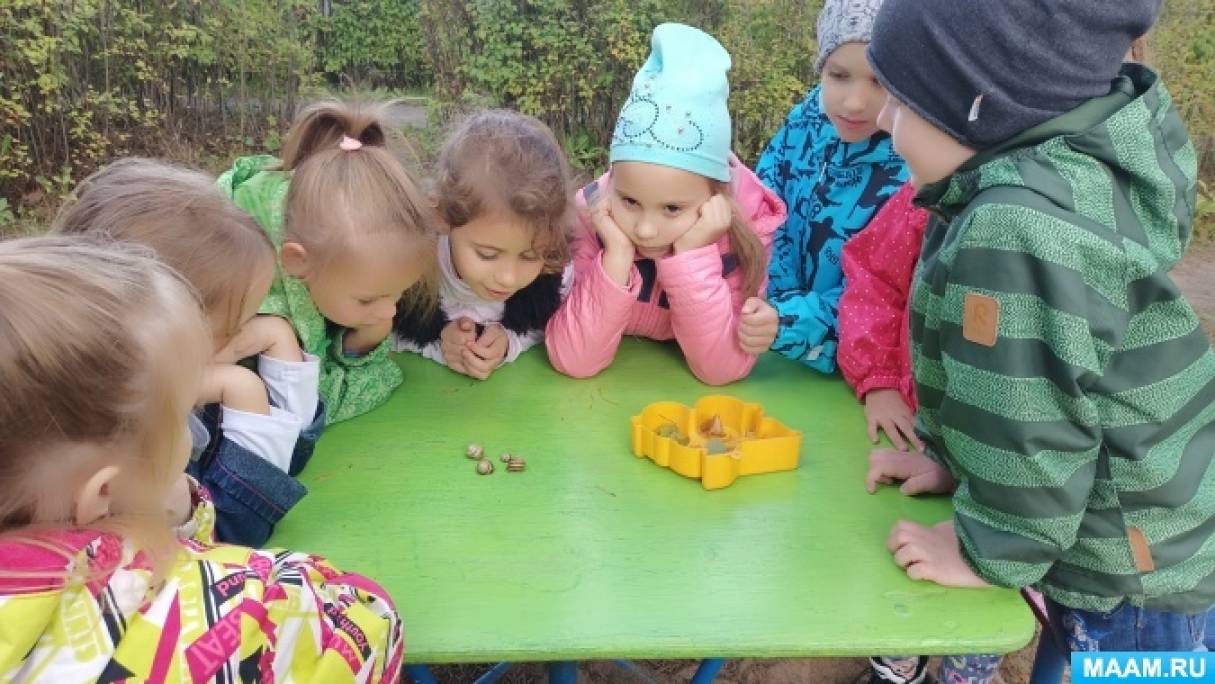 Конспект прогулки «Наблюдение за улиткой» (11 фото). Воспитателям детских  садов, школьным учителям и педагогам - Маам.ру