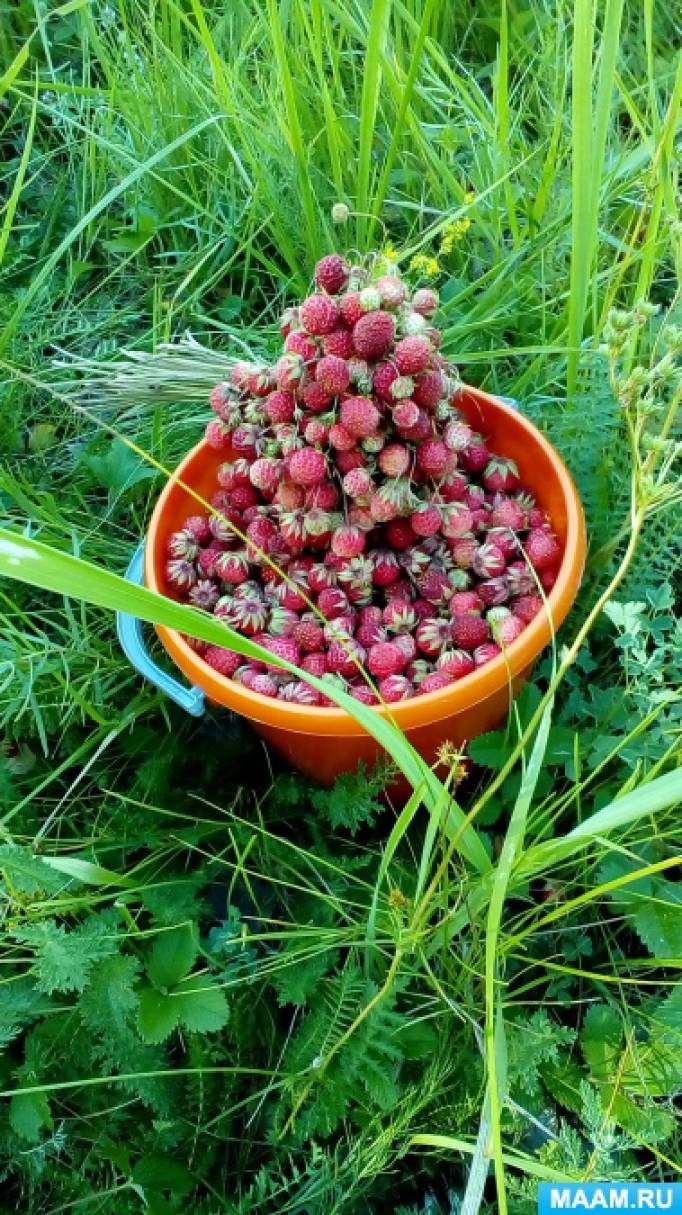 Ландшафтный дизайн своими руками