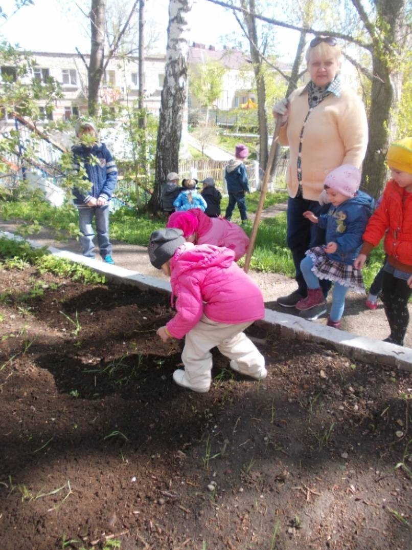 Мы сажаем огород! (4 фото). Воспитателям детских садов, школьным учителям и  педагогам - Маам.ру