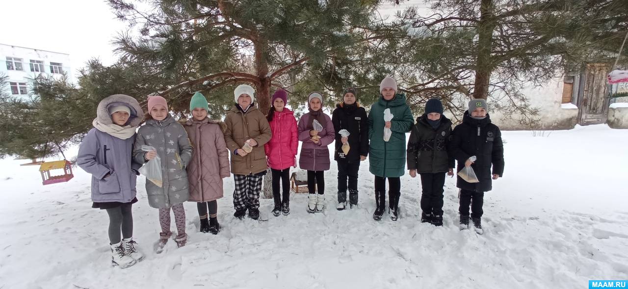 Акция покорми птиц в доу