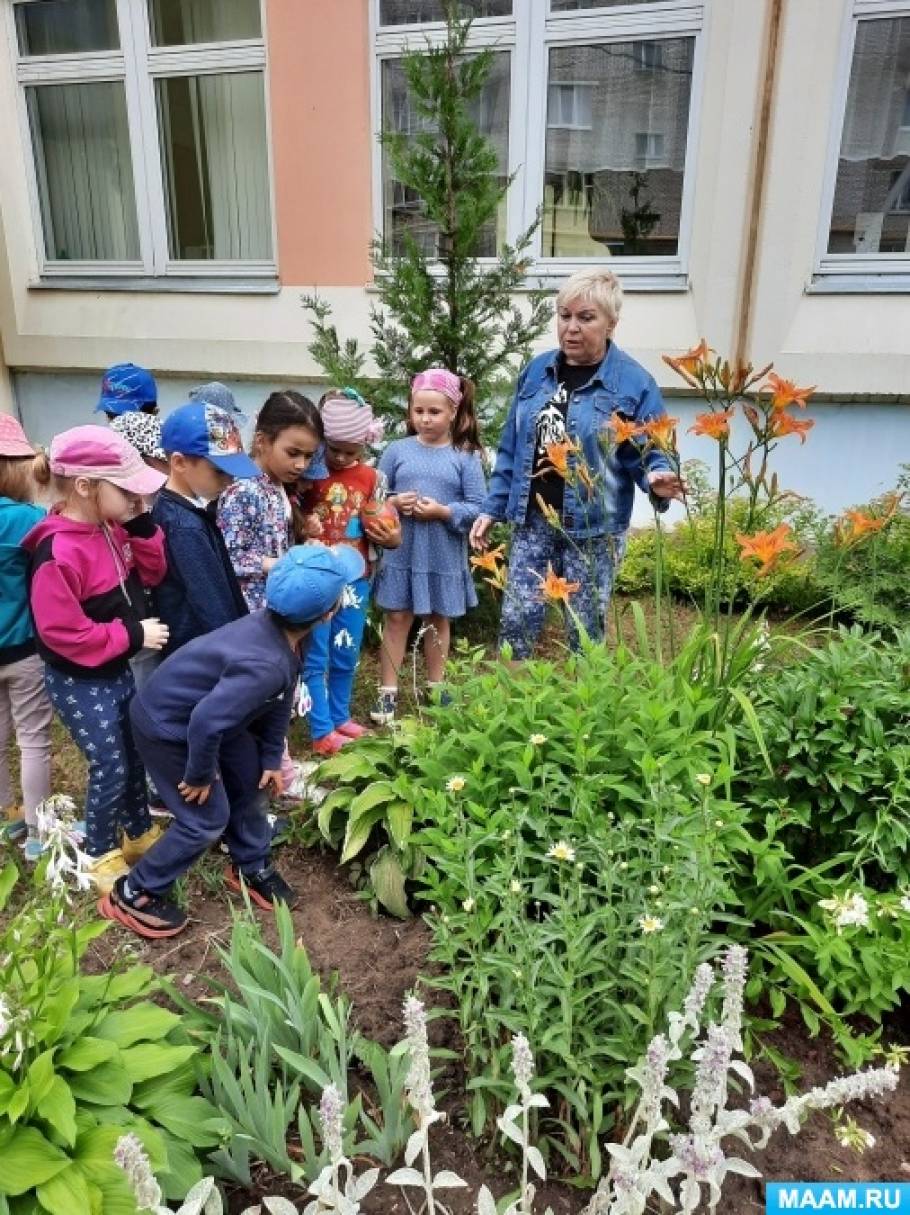 Целевая экскурсия в зеленый цветущий уголок нашего детского сада (3 фото).  Воспитателям детских садов, школьным учителям и педагогам - Маам.ру