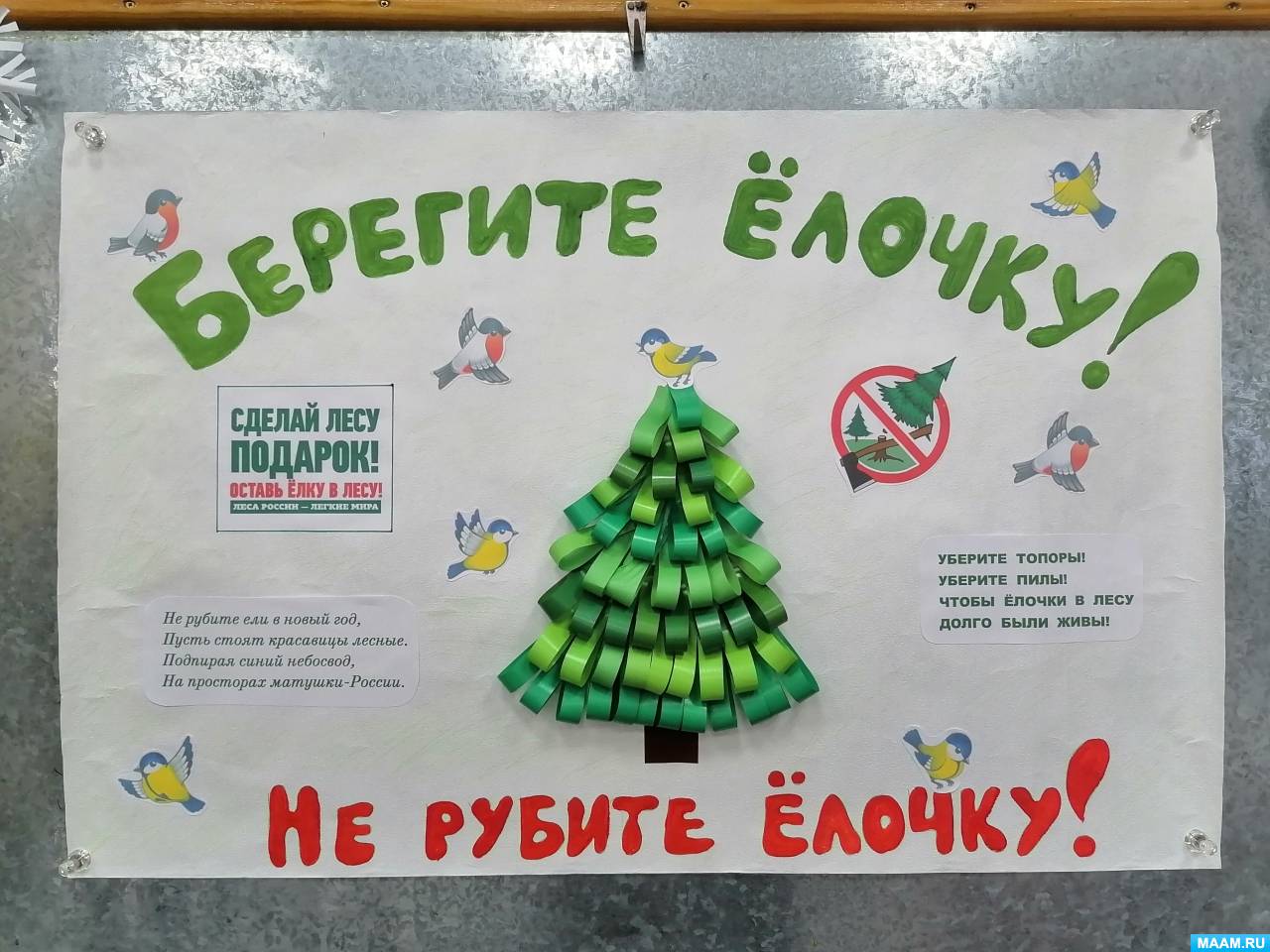 Берегите елочку