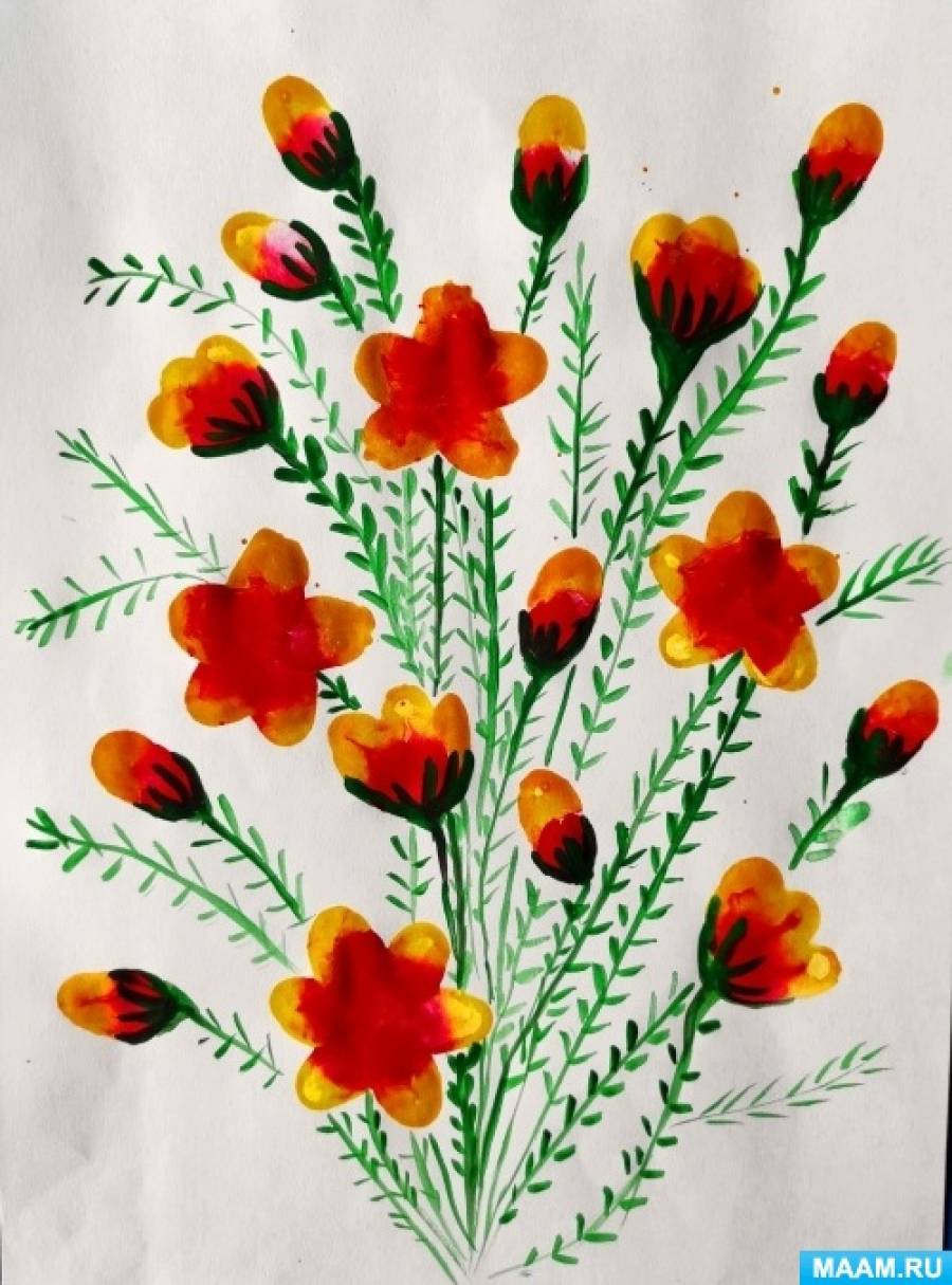 Полевые цветы – раскраски для детей