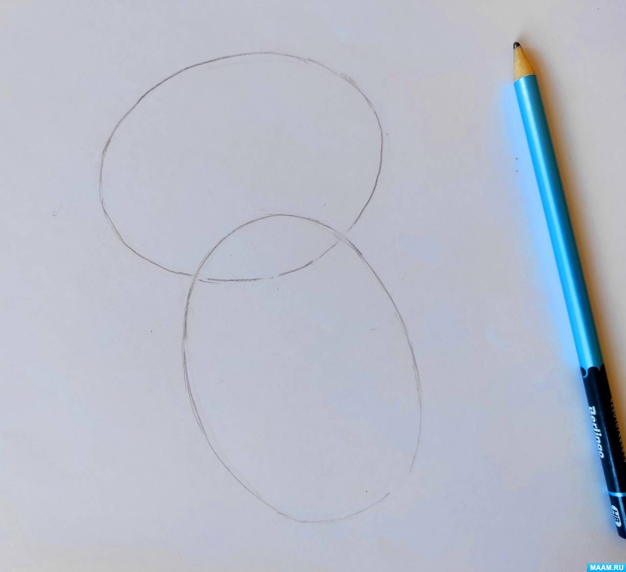 Как нарисовать лягушку карандашом поэтапно