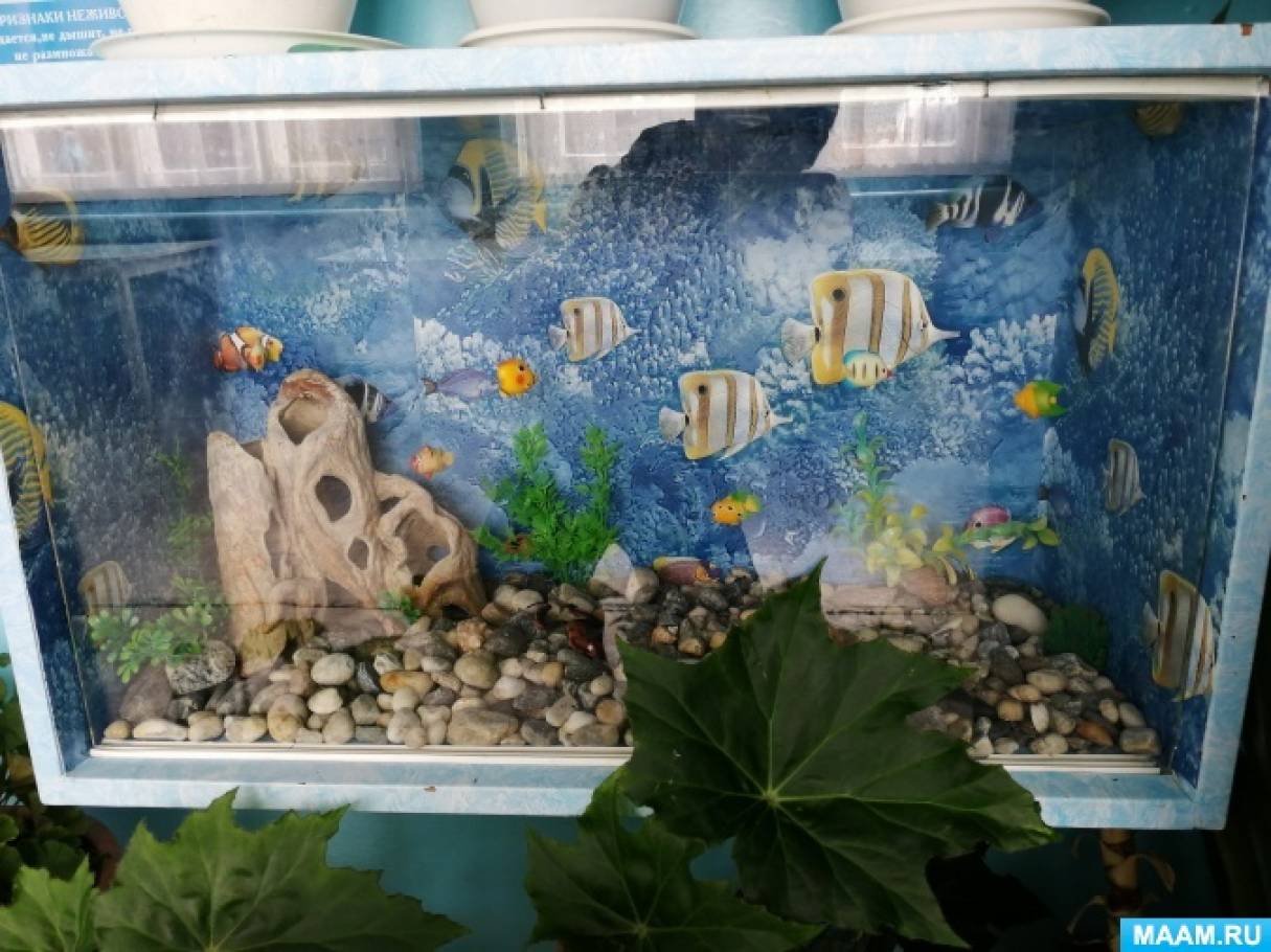 Мой аквариум - Обо всем - форум апекс124.рф