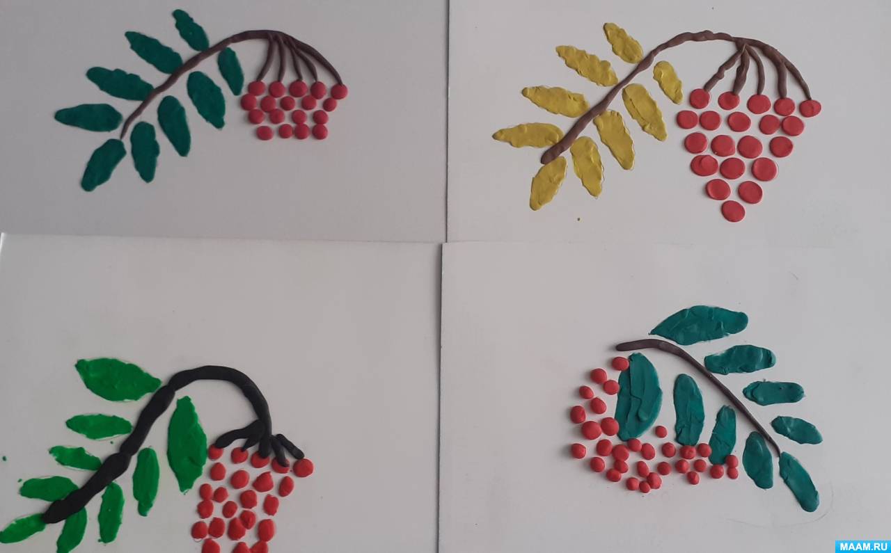 Раскраска гроздь рябины с листьями