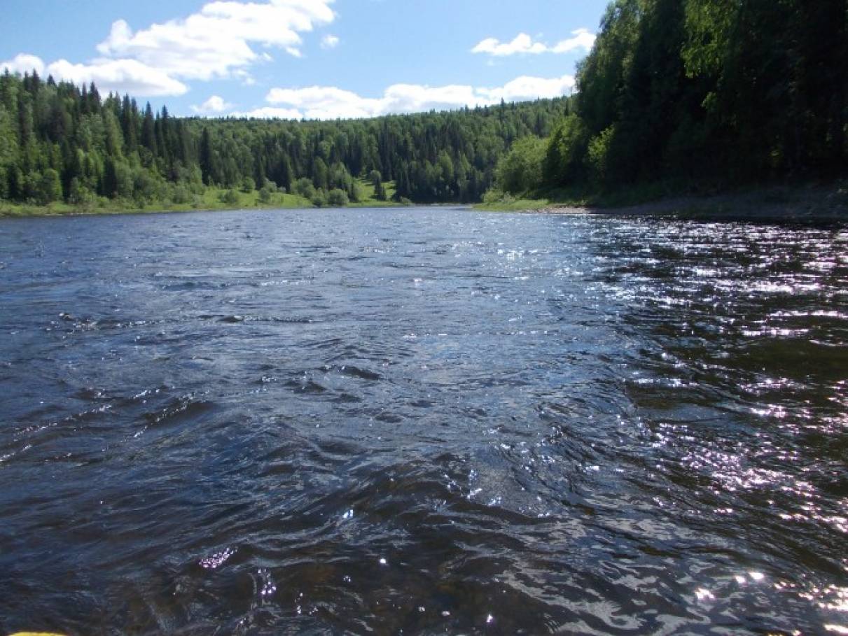 Река бабка пермский край. Янычи Пермский край река бабка. Речка бабка Пермь. Ихтиофауна реки Колва Пермский край. Река Молмыс Пермский край.