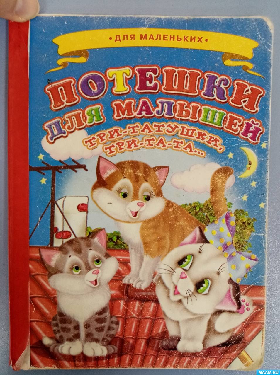 Праздник кошек сценарий